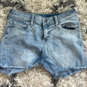 Arizona Jean Company Blue Distressed Jean Shorts